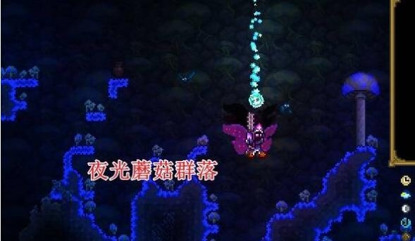 泰拉瑞亚蘑菇房怎么造?（泰拉瑞亚蘑菇房建造方法） 第2张