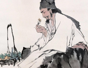 张仲景跟华佗谁大（张仲景和华佗认识吗？两人是一个时代的吗？） 第1张