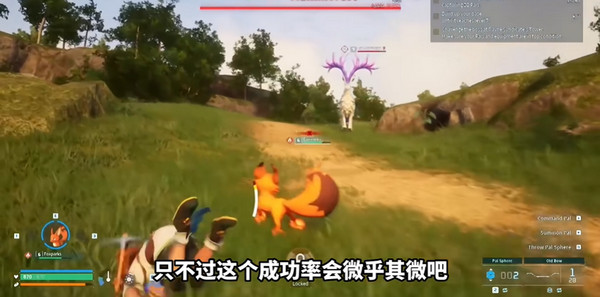 幻兽属性（幻兽帕鲁抓怪技巧） 第5张