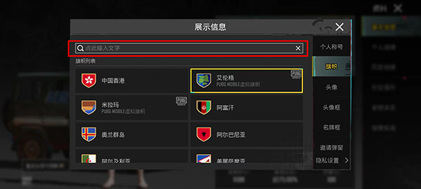 绝地求生国际服怎么切换账号?（绝地求生国际服怎么更换国家） 第5张