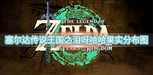塞尔达传说荒野之息国王的房间（塞尔达传说王国之泪呀哈哈果实分布图） 第1张