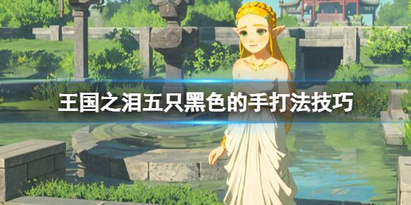 塞尔达传说 国王的书房（塞尔达传说王国之泪五只黑色的手打法技巧） 第1张