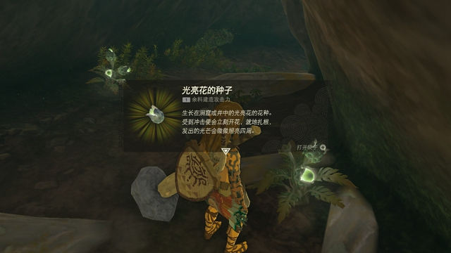 泪水之城出去（王国之泪图文流程攻略其六「池边的洞窟&采矿的洞窟」） 第3张