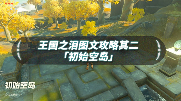 王国之主怎么打（王国之泪图文流程攻略其二「初始空岛」） 第1张