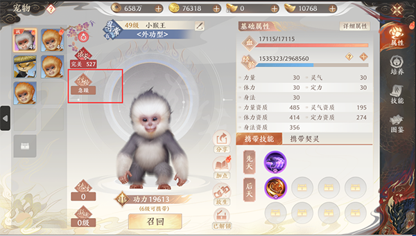 飞天龙战法（天龙八部2飞龙战天宠物性格介绍） 第2张