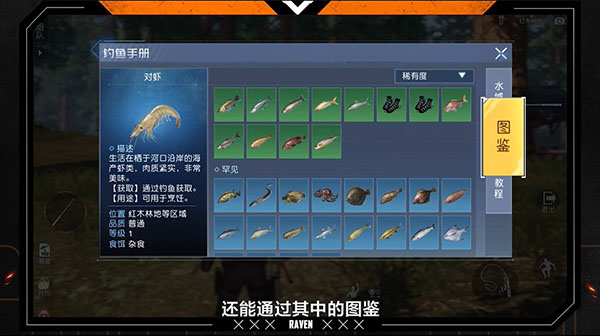 黎明觉醒香鱼怎么钓（黎明觉醒钓鱼技巧分享） 第6张