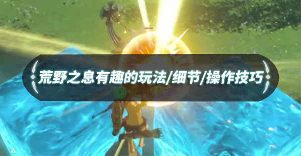 荒野之息dlc2（荒野之息有趣的玩法/细节/技巧） 第1张