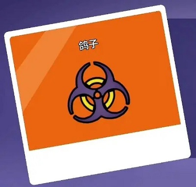 杀鹅有什么讲究吗（鹅鸭杀职业大全） 第7张