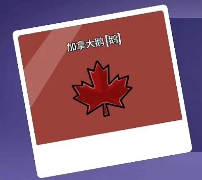 杀鹅有什么讲究吗（鹅鸭杀职业大全） 第12张