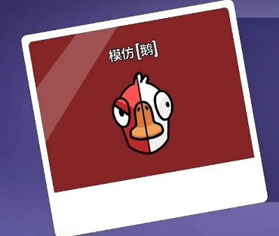 杀鹅有什么讲究吗（鹅鸭杀职业大全） 第15张