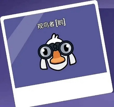 杀鹅有什么讲究吗（鹅鸭杀职业大全） 第17张