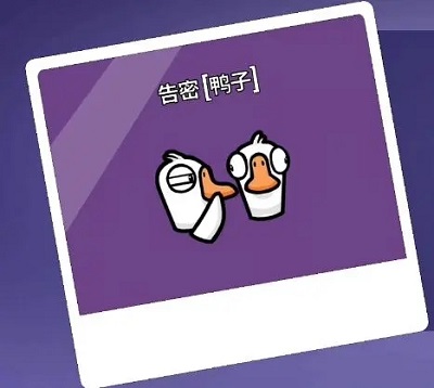 杀鹅有什么讲究吗（鹅鸭杀职业大全） 第31张
