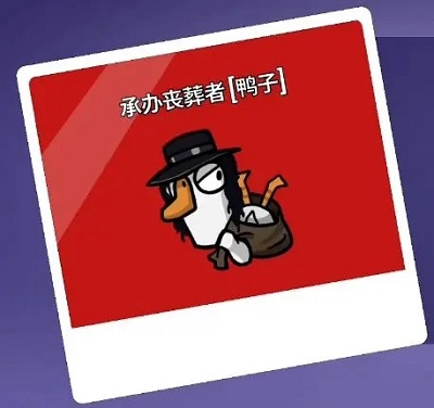杀鹅有什么讲究吗（鹅鸭杀职业大全） 第36张