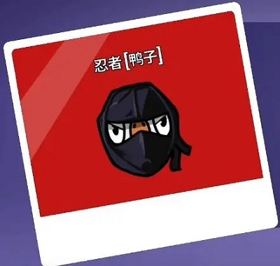 杀鹅有什么讲究吗（鹅鸭杀职业大全） 第35张