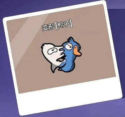 杀鹅有什么讲究吗（鹅鸭杀职业大全） 第40张