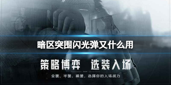 暗区突围自瞄辅助器下载（暗区突围闪光弹有什么用） 第1张