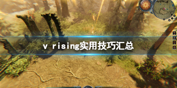 吸血鬼模组怎么变成吸血鬼猎人（吸血鬼崛起v rising实用技巧汇总） 第1张