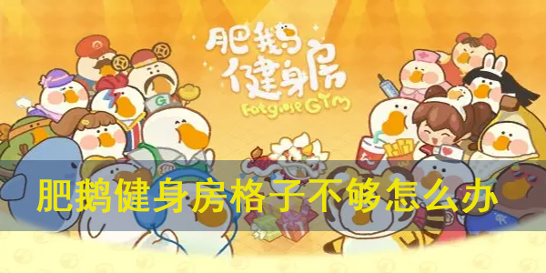 肥鹅健身房会员（肥鹅健身房格子不够怎么办） 第1张