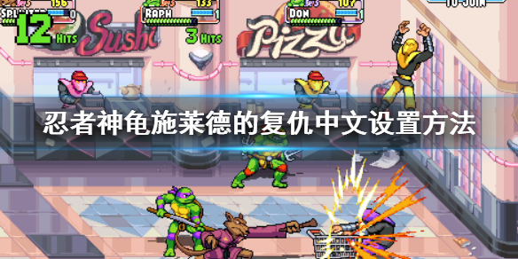 忍者神龟boss施莱德真面目（忍者神龟施莱德的复仇中文设置方法） 第1张