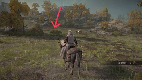 艾尔登法环发售价美元（艾尔登法环刷钱攻略） 第4张