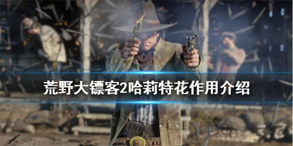 大镖客2哈莉特在哪个任务（荒野大镖客2哈莉特花作用介绍） 第1张