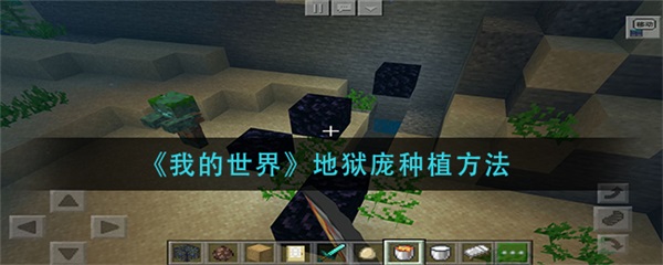 我的世界怎么让地狱庞快速生长（我的世界地狱庞种植方法） 第1张