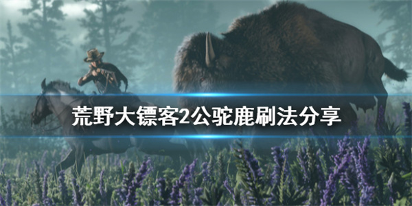 荒野大镖客2驼鹿角饰品后面是什么（荒野大镖客2公驼鹿刷法分享） 第1张