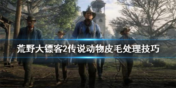 荒野大镖客2传说动物皮怎么处（荒野大镖客2传说动物皮毛处理技巧） 第1张