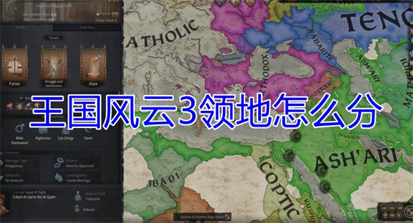 王国风云3占领（王国风云3领地怎么分） 第1张