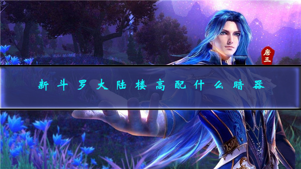 新斗罗大陆最好的ss暗器（新斗罗大陆楼高配什么暗器） 第1张
