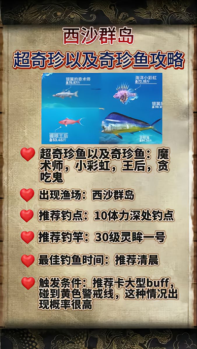 西沙钓鱼参团多少钱（欢乐钓鱼大师西沙群岛奇珍鱼攻略） 第1张