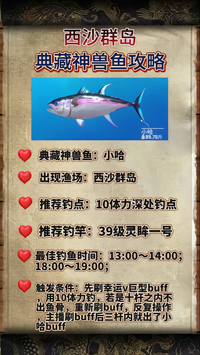 西沙钓鱼参团多少钱（欢乐钓鱼大师西沙群岛奇珍鱼攻略） 第2张