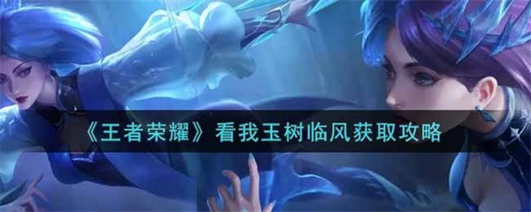 玉树临风含义（王者荣耀看我玉树临风获取攻略） 第1张