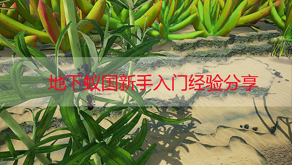 地下蚁国正式版（地下蚁国新手入门经验分享） 第1张