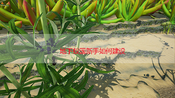地下蚁国新手教程（地下蚁国新手如何建设） 第1张