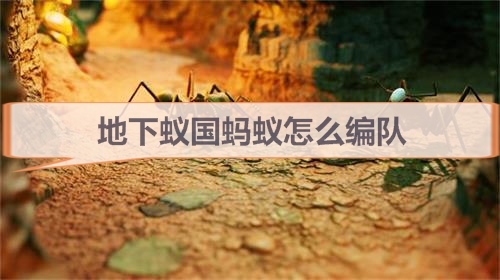 地下蚁国怎么玩儿教学（地下蚁国蚂蚁怎么编队） 第1张