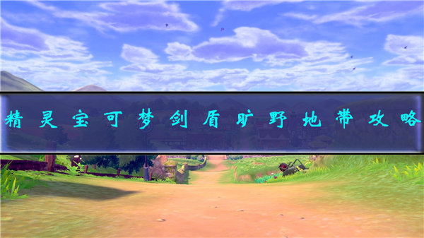 《宝可梦剑盾》旷野地带攻略（精灵宝可梦剑盾旷野地带攻略） 第1张