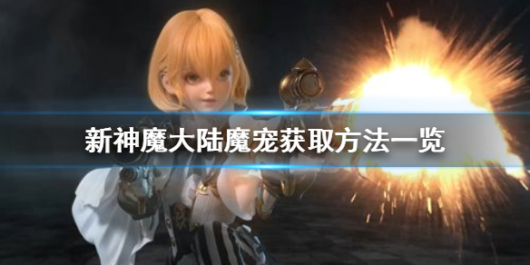 新神魔大陆培养哪个魔宠好（新神魔大陆魔宠怎么获得） 第1张