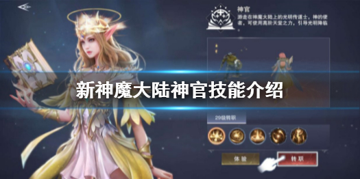 新神魔大陆手游神官魔武选择（新神魔大陆神官技能有哪些） 第1张