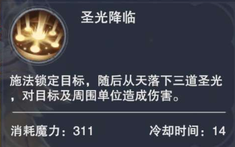 新神魔大陆手游神官魔武选择（新神魔大陆神官技能有哪些） 第3张