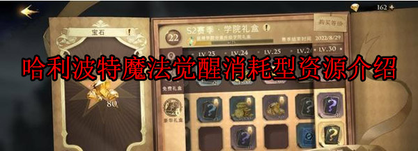 哈利波特魔法觉醒耗时间吗（哈利波特魔法觉醒消耗型资源介绍） 第1张