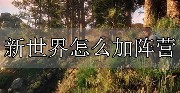 新世界阵营升级任务（新世界怎么加阵营） 第1张