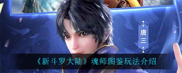 新斗罗大陆魂师等级是什么（新斗罗大陆魂师图鉴玩法介绍） 第1张