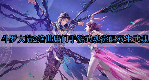 斗罗大陆2绝世唐门手游怎么觉醒双武魂（斗罗大陆2绝世唐门手游武魂觉醒双生武魂） 第1张