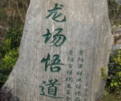王阳明是干嘛的（王阳明是个怎样的人？他提出了哪些观点？） 第7张
