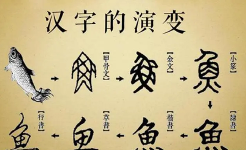 现在使用的汉字是如何演变而来的？大致分为四个阶段（居然可以这样） 第1张