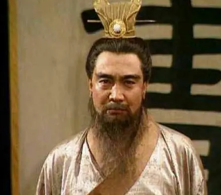 曹冲称象之后就消失了 曹冲是病死的吗（硬核推荐） 第2张