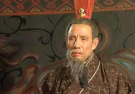 曹冲称象之后就消失了 曹冲是病死的吗（硬核推荐） 第3张