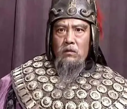 诸葛亮为什么要除掉魏延 魏延真的该死吗（深度揭秘） 第5张