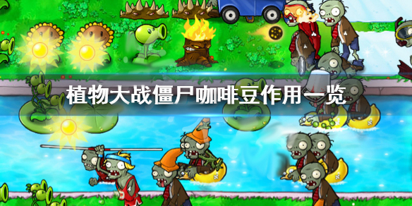 植物大战僵尸咖啡豆作用一览（不要告诉别人） 第1张